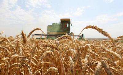 Стали известны планы развития агропромышленного комплекса в Тюменской области на 2021 год