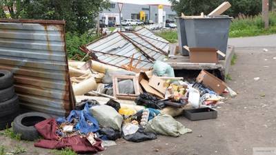 Стажер магазина в Сочи случайно выбросил в помойку 260 тысяч рублей