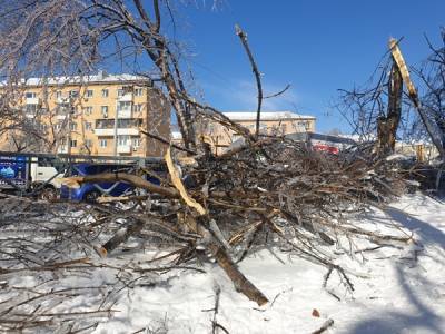 Власти Владивостока назвали сроки восстановления энергоснабжения