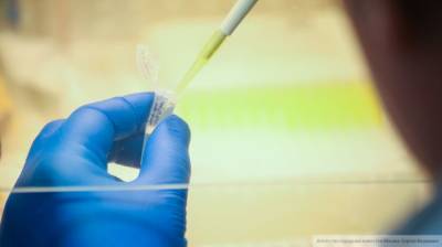 Модифицированный коронавирус обнаружили в Краснодарском крае