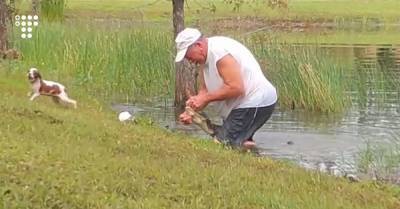 74-летний мужчина голыми руками спас своего щенка из пасти аллигатора. Об этом никто бы не узнал, если бы не камера