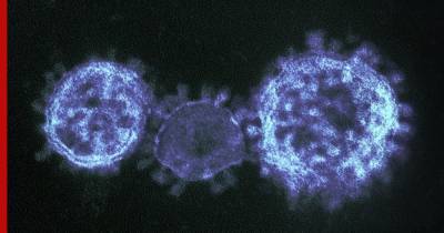 Ученый рассказал, как можно нейтрализовать коронавирус