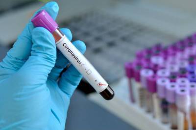 В Ленобласти выявили 204 новых зараженных коронавирусом 22 ноября