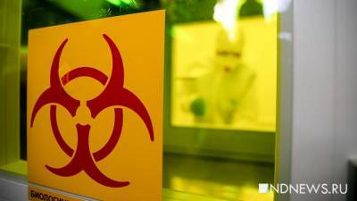 В Свердловской области за неделю коронавирусом заболели 2 552 человека