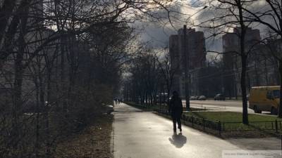 Петербургские скверы и сады закрыли из-за штормового предупреждения