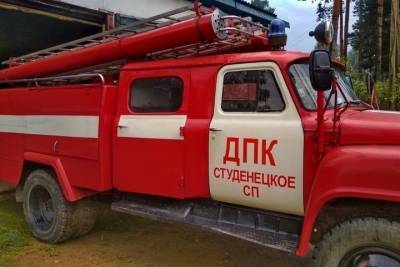 В Смоленской области работает 641 подразделение пожарных-добровольцев
