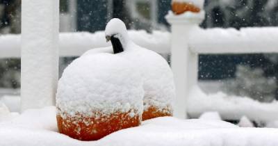 Припорошило: какие области Украины уже накрыло снегом и где его больше всего