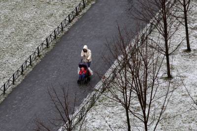 Начало недели встретит петербуржцев мокрым снегом