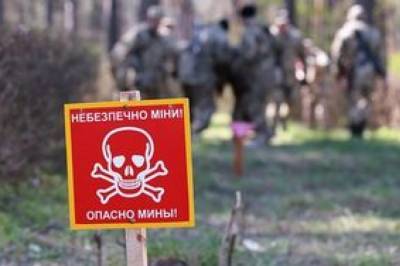 ОБСЕ: Трое членов семьи подорвались на мине в Горловке