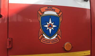В Нагорный Карабах отправят группировку спасателей российского МЧС