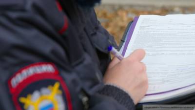 МВД раскрыло подробности похищения семилетнего школьника под Владимиром