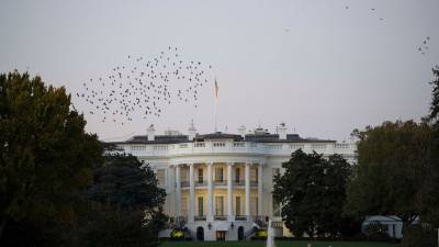 Белый дом рассказал о причинах выхода США из ДОН