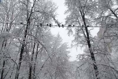 Из-за налипания снега в Краснодарском крае объявлено штормовое предупреждение