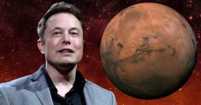 Под куполом: Маск рассказал, где будут жить на Марсе первые колонисты