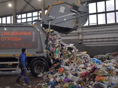 Путина просят запретить строительство мусоросжигательного завода в Петербурге