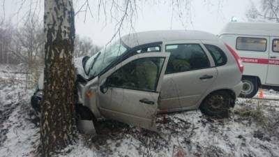 В ДТП в Тверской области пострадали две женщины