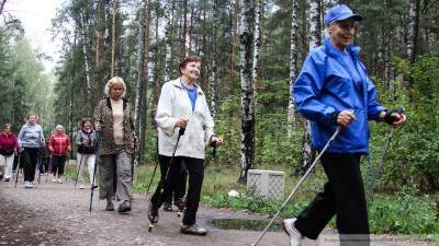 Россиянам раскрыли малоизвестный способ получения пенсионного стажа