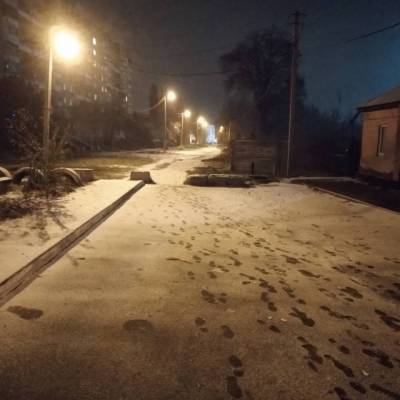 Цветы, припорошенные снегом: Украину «накрыла» зимняя сказка (ФОТО)