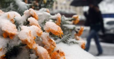 Погодные аномалии: какие стихии бушуют в мире и к какой зиме готовиться в Украине