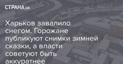 Харьков завалило снегом. Горожане публикуют снимки зимней сказки, а власти советуют быть аккуратнее