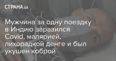 Мужчина за одну поездку в Индию заразился Covid, малярией, лихорадкой денге и был укушен коброй