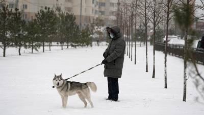 Величина снежного покрова в Москве к утру может вырасти на 2-4 см