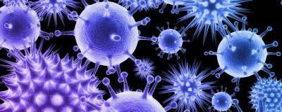 Ученые обнаружили молекулу-блокатор коронавируса
