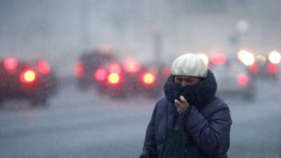 Какие российские регионы ожидает аномальное тепло в конце 2020 года?