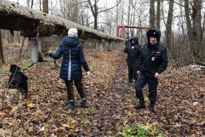 В Ярославле полиция и волонтеры спасли лабрадора