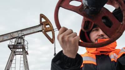 О ценах на нефть: ОПЕК+ придёт к решению уже 1 декабря