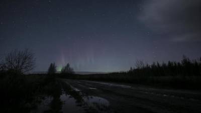 В Ленинградской области 23 ноября сняли северное сияние