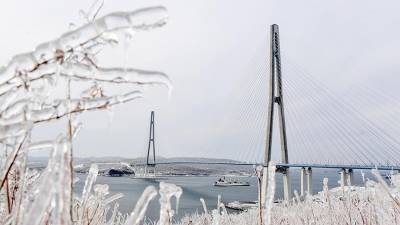 Закрытый из-за обледенения мост на остров Русский откроют 25 ноября