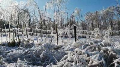 Без света, тепла и воды: в Приморье борются с последствиями ледяного дождя