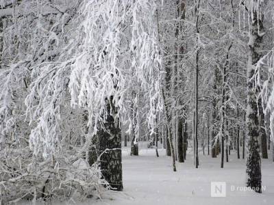 Снежная и пасмурная неделя ждет нижегородцев