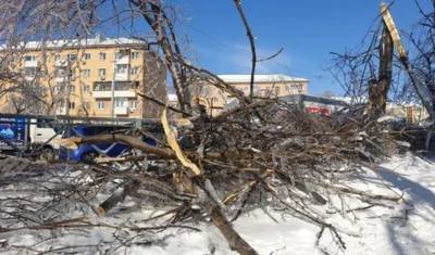 Ледяной дождь в Приморье стал причиной травм более 600 человек