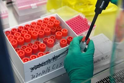 В Китае 17 тысяч человек сдали тест на коронавирус из-за одного заразившегося