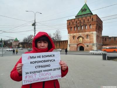 Нижегородка провела одиночный пикет в центре города против «дистанта»