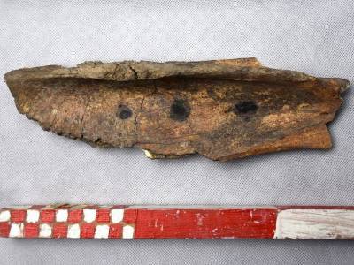 Таинственные отметины были нанесены 700 лет назад на лошадиную кость в Болгарии