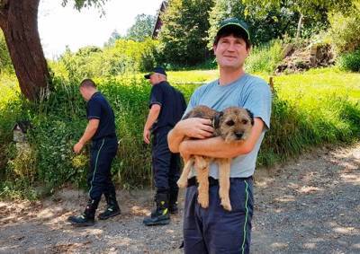 Чудо в Чехии: собака выбралась из-под завалов спустя 16 дней