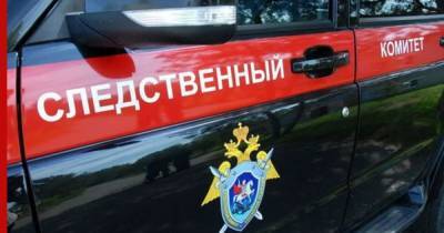 СК начал проверку после падения девочки с балкона в Томске