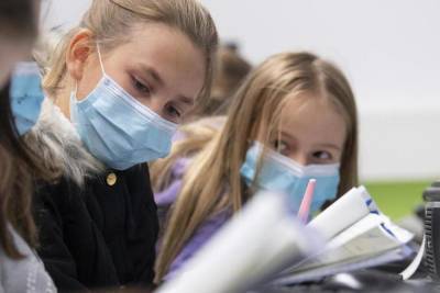 Педиатры Германии высчитали риск заражения коронавирусом в школах
