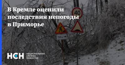 В Кремле оценили последствия непогоды в Приморье