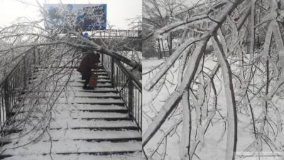 Кремль назвал последствия ледяного дождя в Приморье "колоссальными"