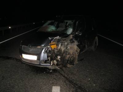 На Львовщине авто столкнулись лоб в лоб: фото аварии