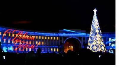 Петербуржцам показали главную елку, которая будет установлена на Дворцовой площади