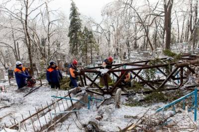 Песков оценил ущерб после ледяного шторма в Приморье