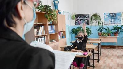 Власти объяснили, почему не переводят школы Петербурга на удалёнку