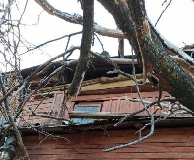 Упавшее дерево пробило крышу дома в центре Нижнего Новгорода