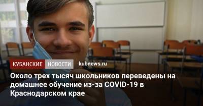 Около трех тысяч школьников переведены на домашнее обучение из-за COVID-19 в Краснодарском крае