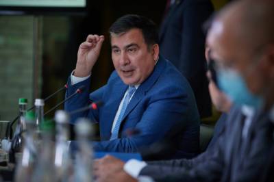 В ОП поделились итогами работы комитета Саакашвили